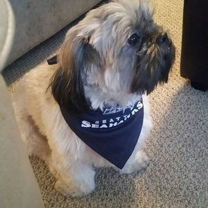 Meet your Posher, Lynn